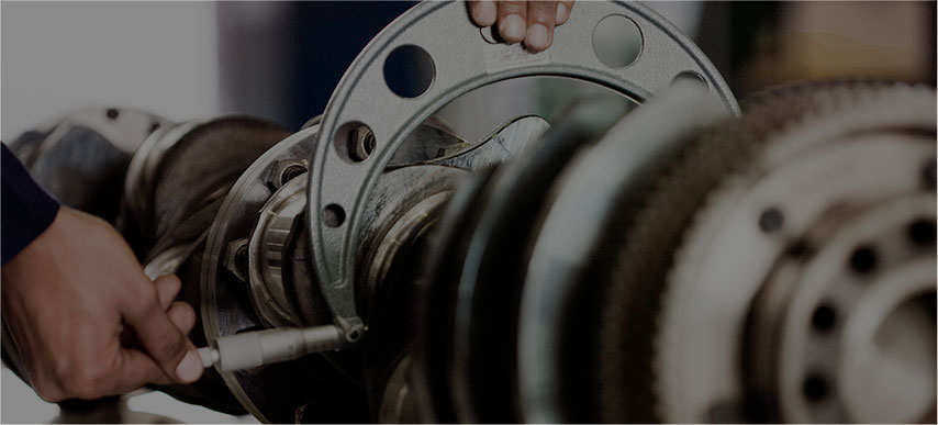 suncitygroup̫������(�й�)-�ٷ���վ